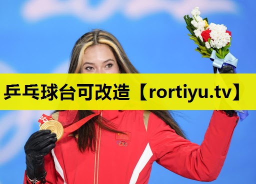 乒乓球台可改造
