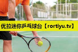 优拉迷你乒乓球台