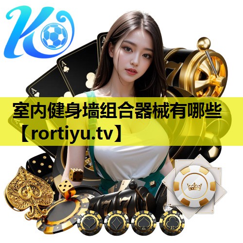 室内健身墙组合器械有哪些